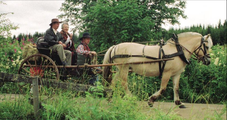 Medlemsmøte om taterene
