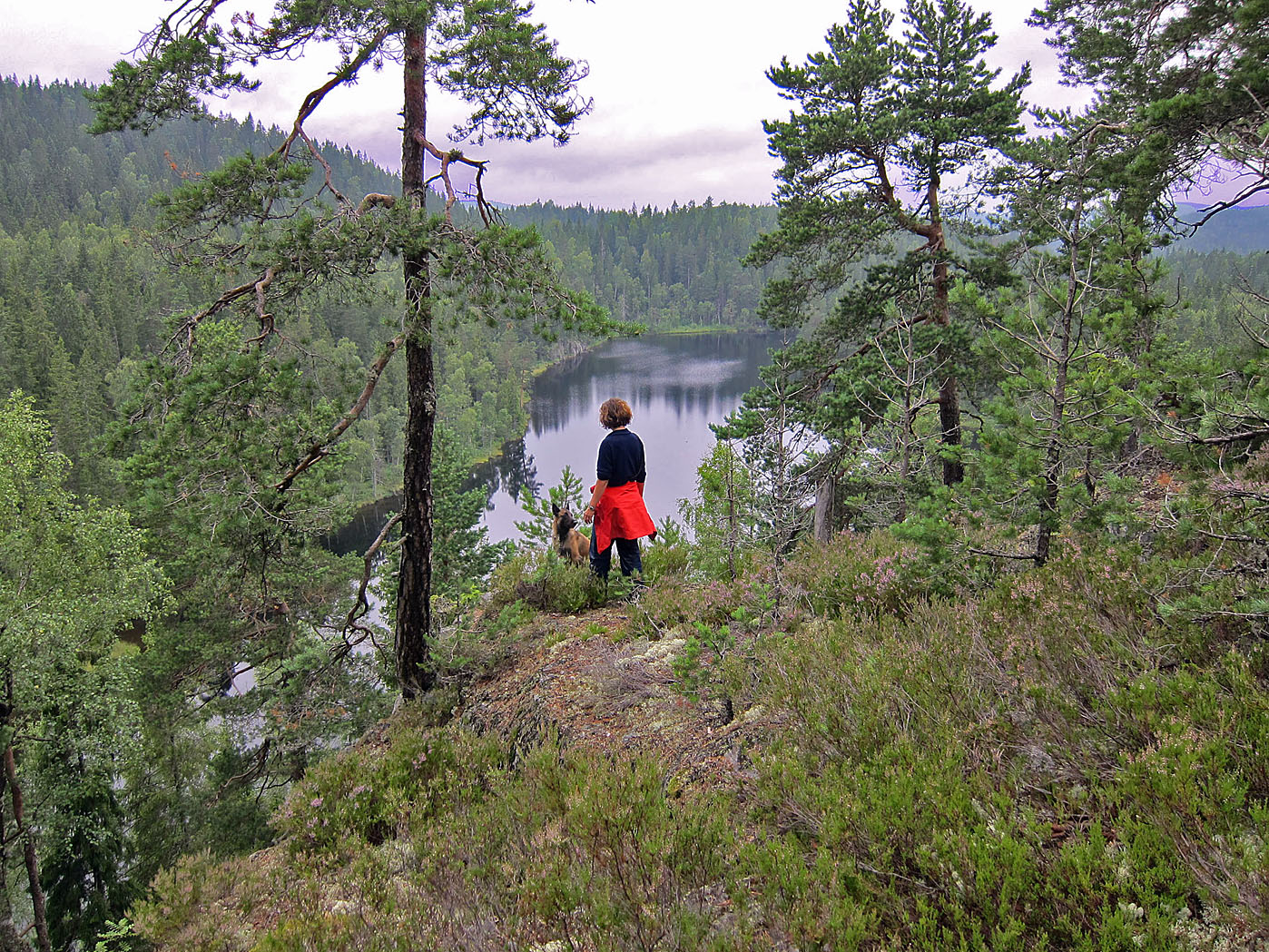 Østmarka før og nå onsdag 26. februar kl. 19:00